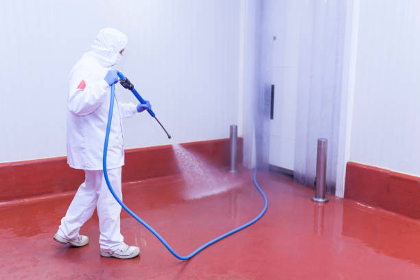 Best Dumpster Area Cleaning  in Llano Grande, TX