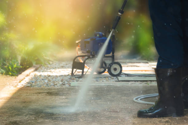 Best Animal Enclosure Cleaning  in Llano Grande, TX